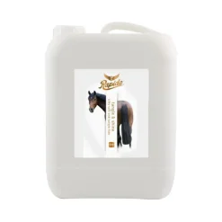 Rapide Tangle & Shine