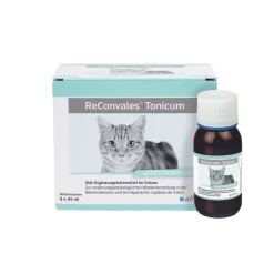 ReConvales Tonicum Kat