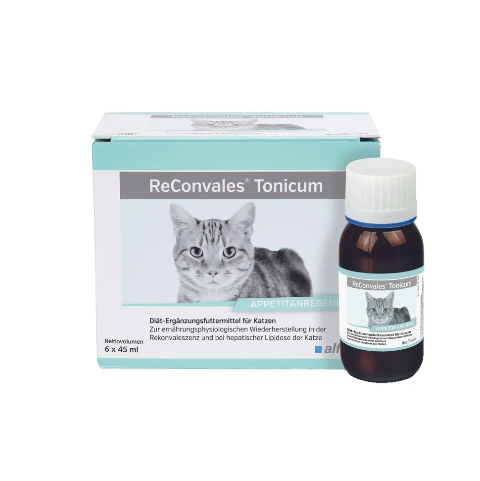 ReConvales Tonicum Kat