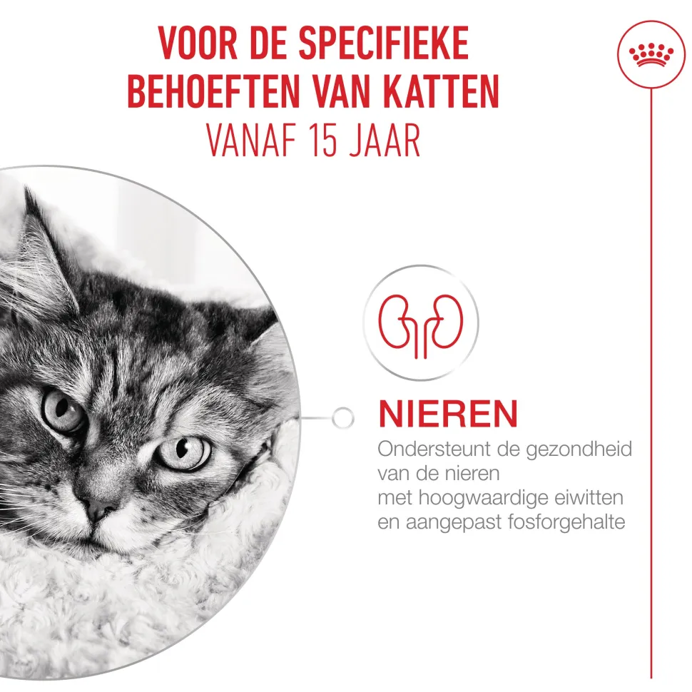 Royal Canin Ageing 15+ in Gravy - Kattenvoer