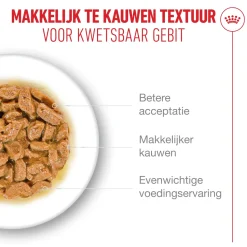Royal Canin Ageing 11+ in Gravy - Kattenvoer