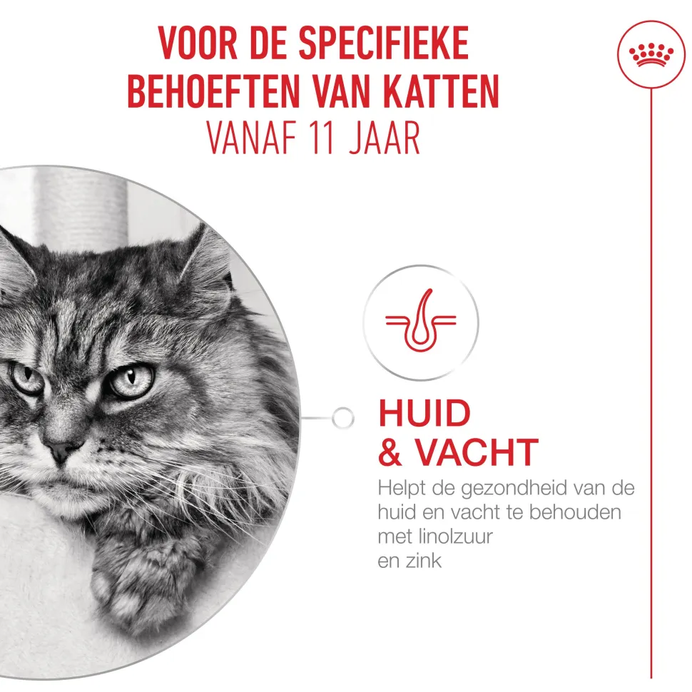Royal Canin Ageing 11+ in Gravy - Kattenvoer