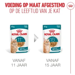 Royal Canin Ageing 11+ in Jelly - Kattenvoer