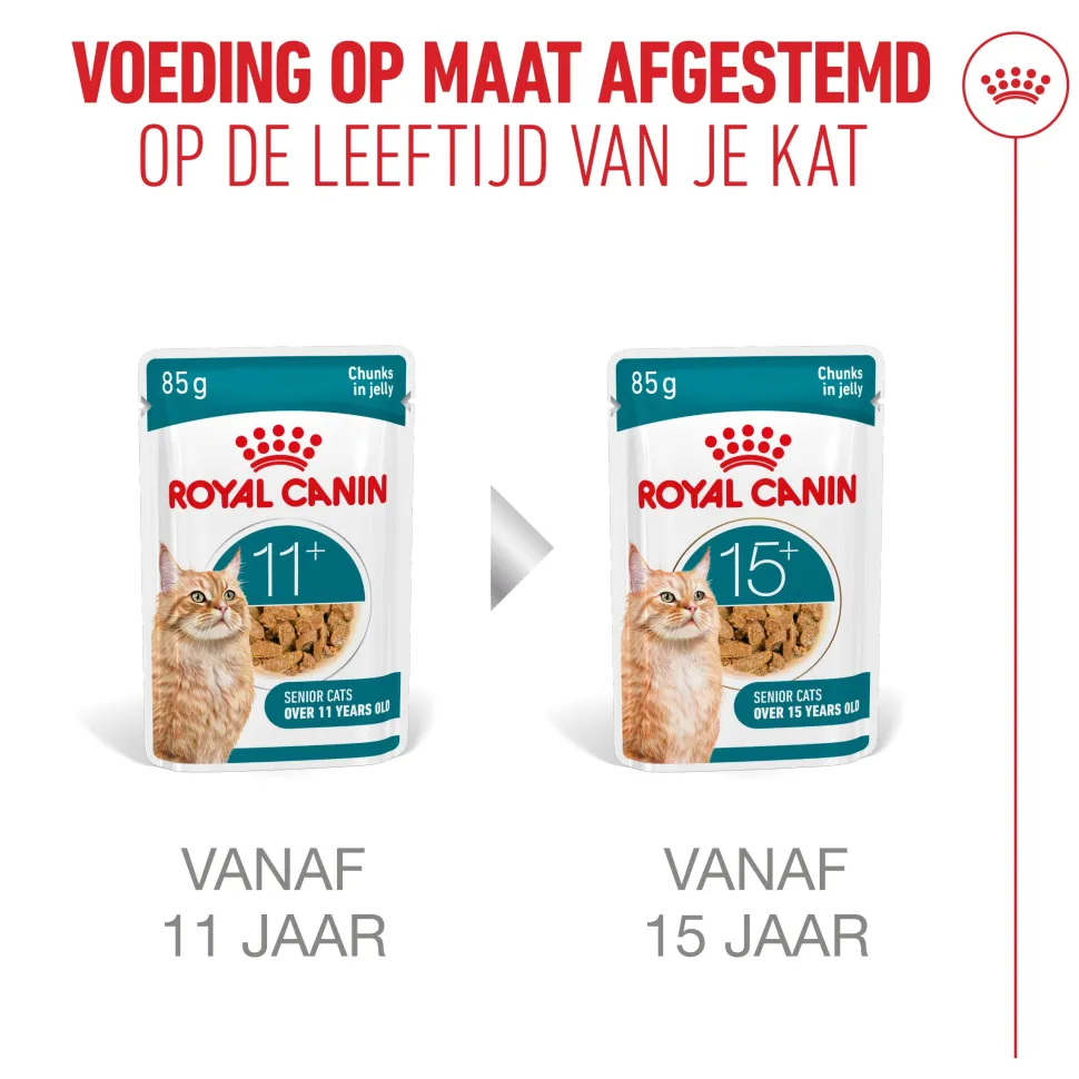 Royal Canin Ageing 11+ in Jelly - Kattenvoer