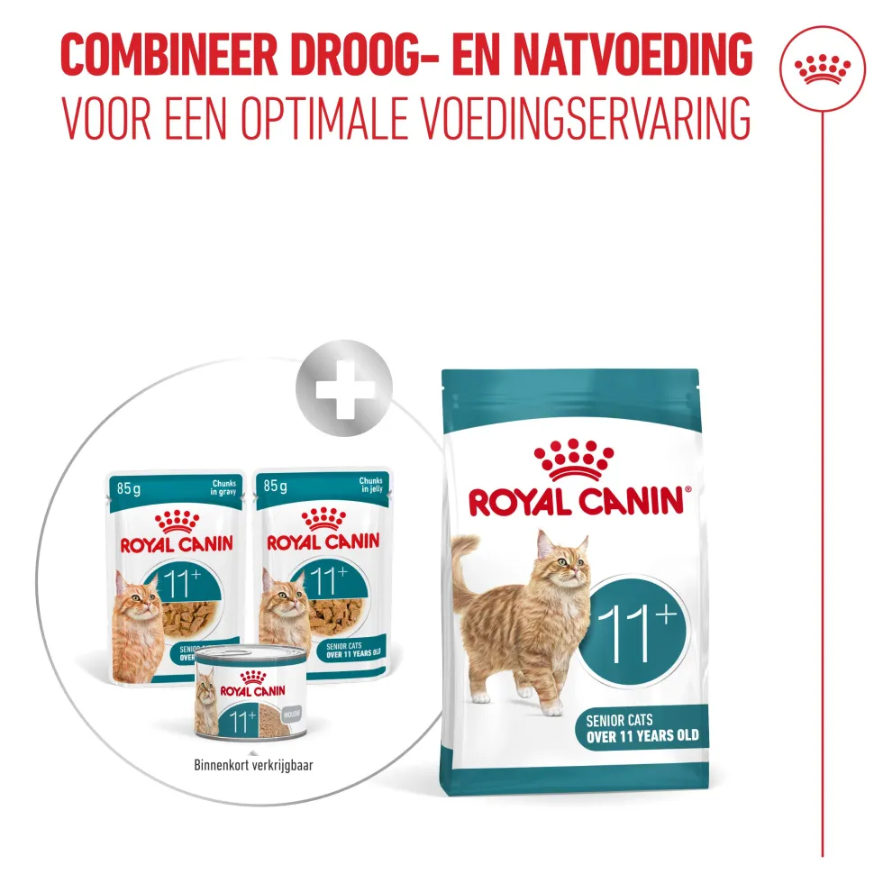 Royal Canin Ageing 11+ in Jelly - Kattenvoer