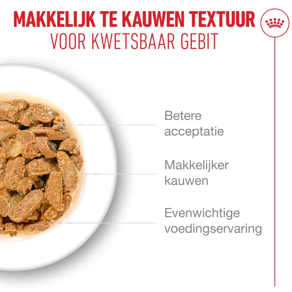 Royal Canin Ageing 11+ in Jelly - Kattenvoer