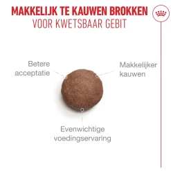 Royal Canin Ageing 15+ - Kattenvoer