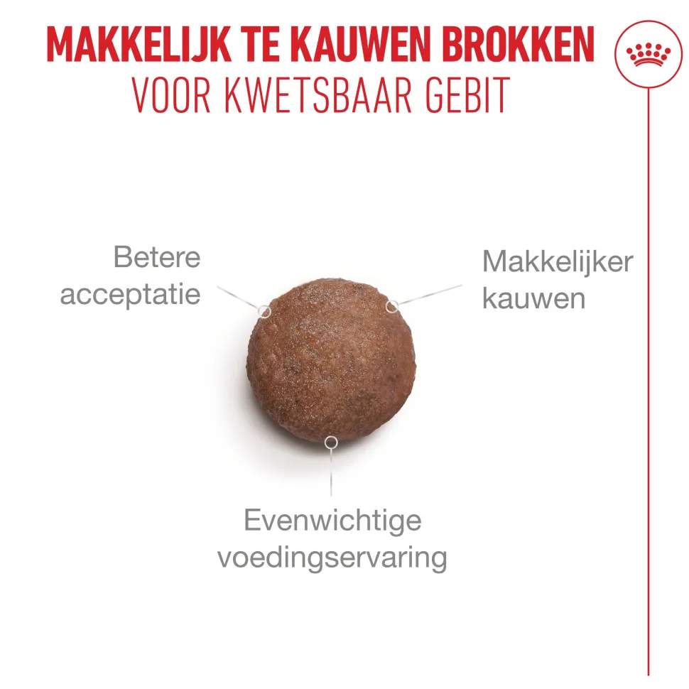 Royal Canin Ageing 15+ - Kattenvoer