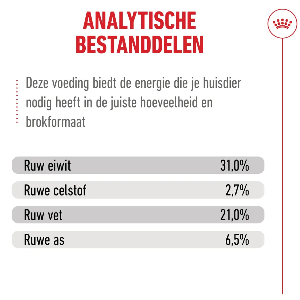 Royal Canin Ageing 15+ - Kattenvoer