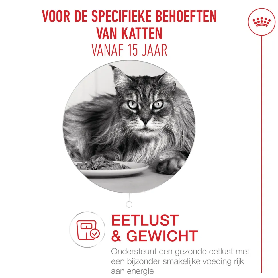 Royal Canin Ageing 15+ - Kattenvoer