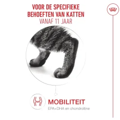Royal Canin Ageing 11+ - Kattenvoer