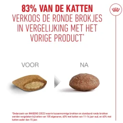Royal Canin Ageing 11+ - Kattenvoer