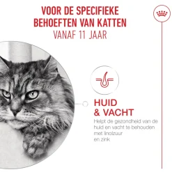 Royal Canin Ageing 11+ - Kattenvoer