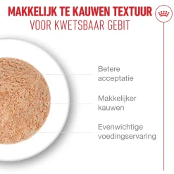 Royal Canin Ageing 11+ Mousse - Kattenvoer