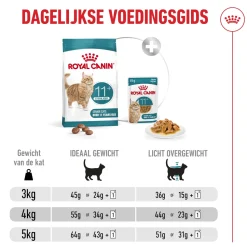 Royal Canin Ageing Sterilised 11+ - Kattenvoer