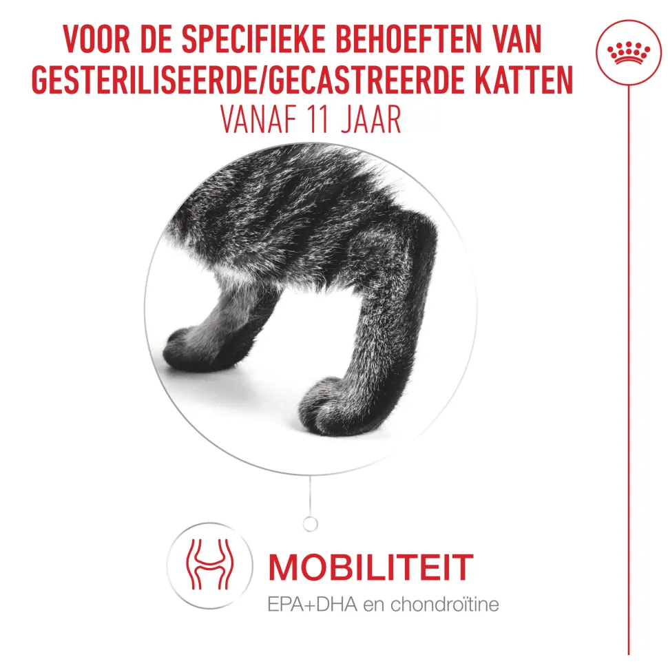 Royal Canin Ageing Sterilised 11+ - Kattenvoer