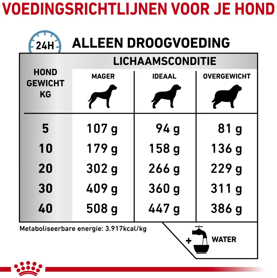 Royal Canin Anallergenic Hond