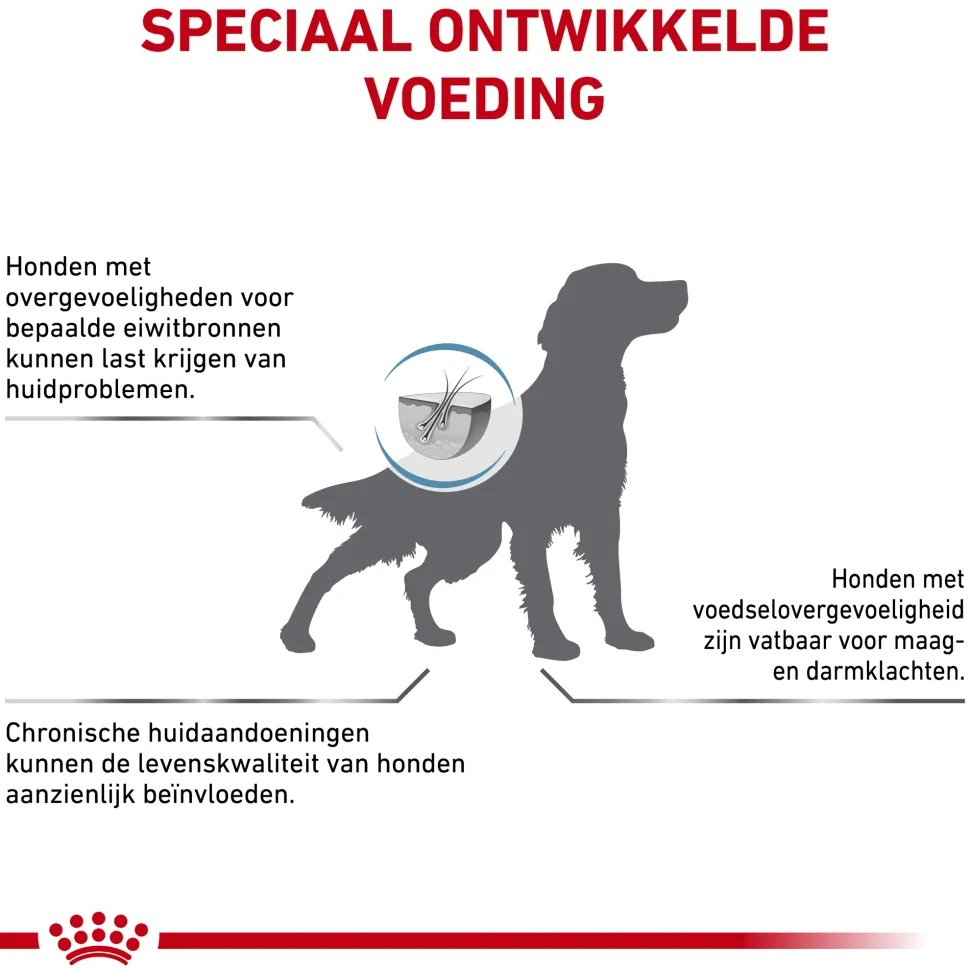 Royal Canin Anallergenic Hond