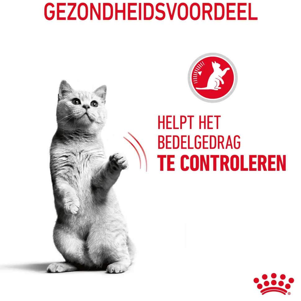Royal Canin Appetite Control Care in Gravy
