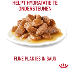 Royal Canin Appetite Control Care in Gravy
