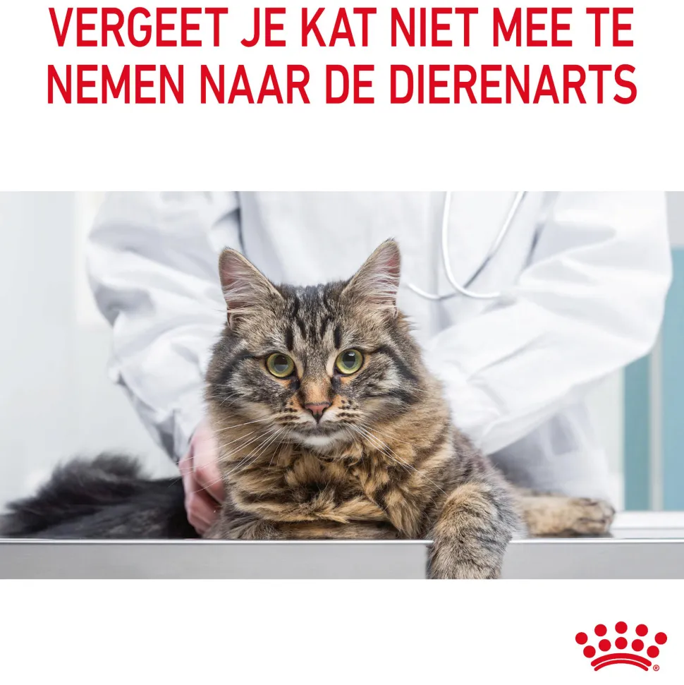 Royal Canin Appetite Control Care - Kattenvoer