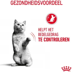 Royal Canin Appetite Control Care - Kattenvoer