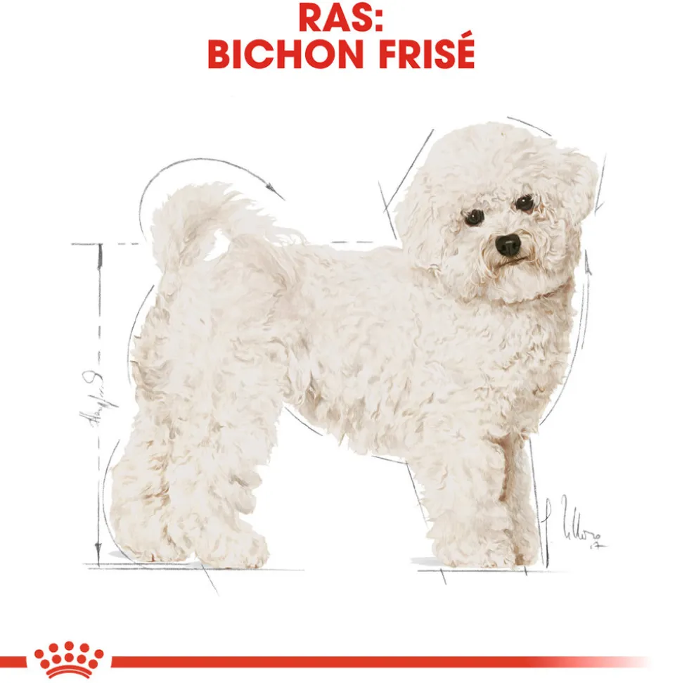 Royal Canin Bichon Frisé Adult - Hondenvoer