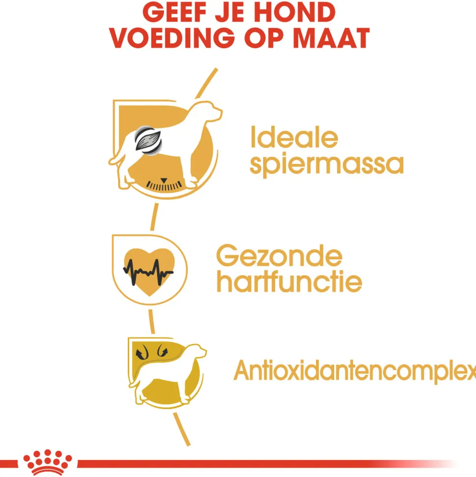 Royal Canin Boxer Adult - Hondenvoer
