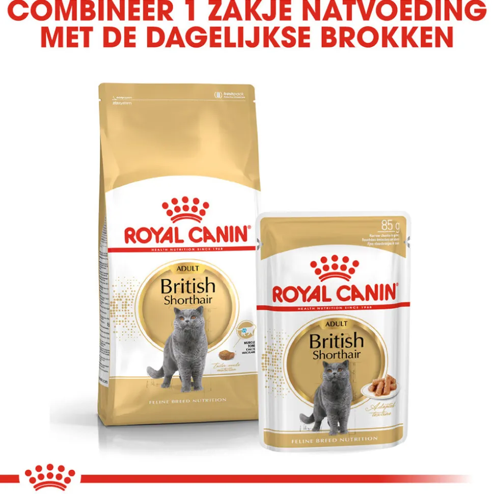 Royal Canin British Shorthair Adult - Kattenvoer
