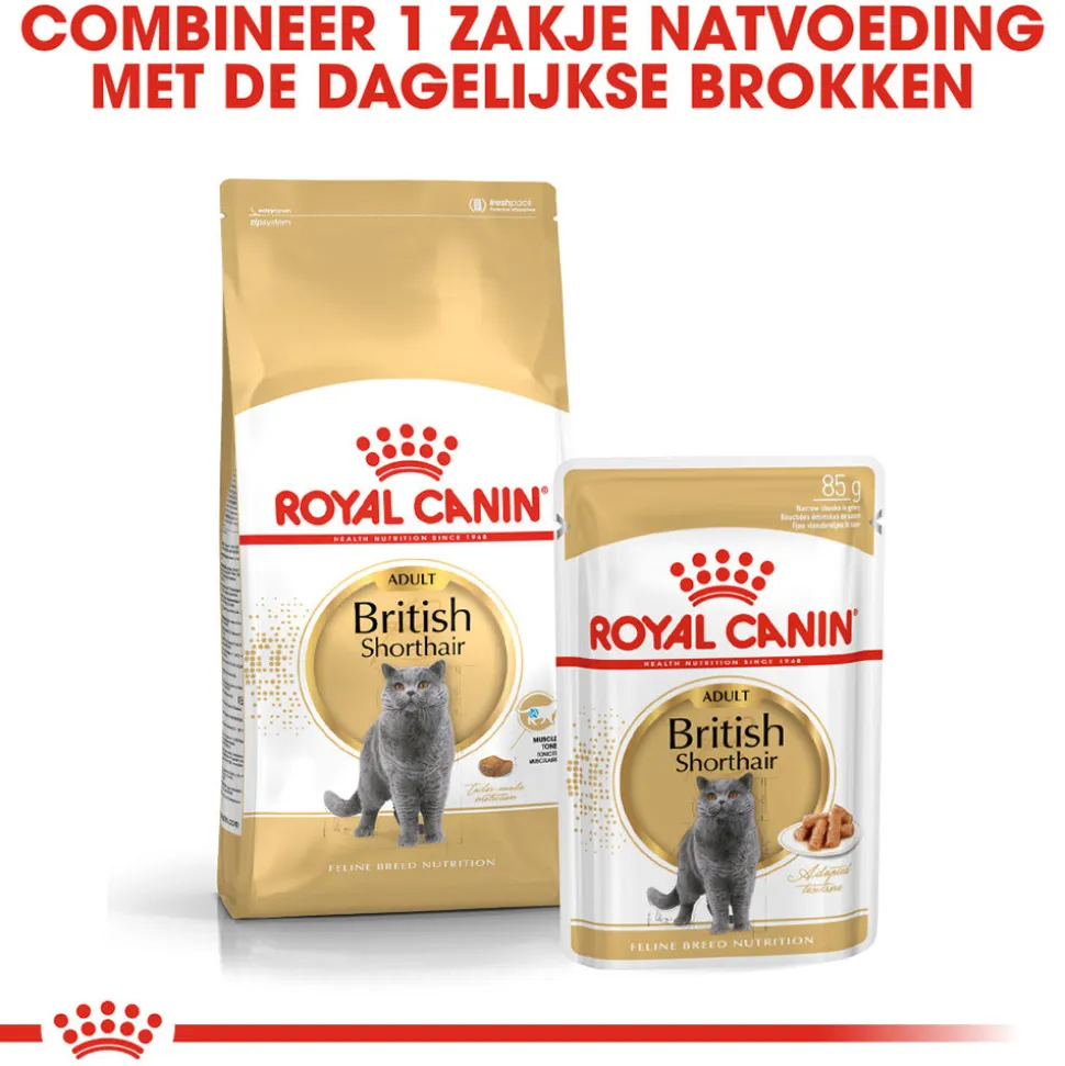 Royal Canin British Shorthair Adult Wet - Kattenvoer