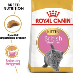 Royal Canin British Shorthair Kitten - Kattenvoer