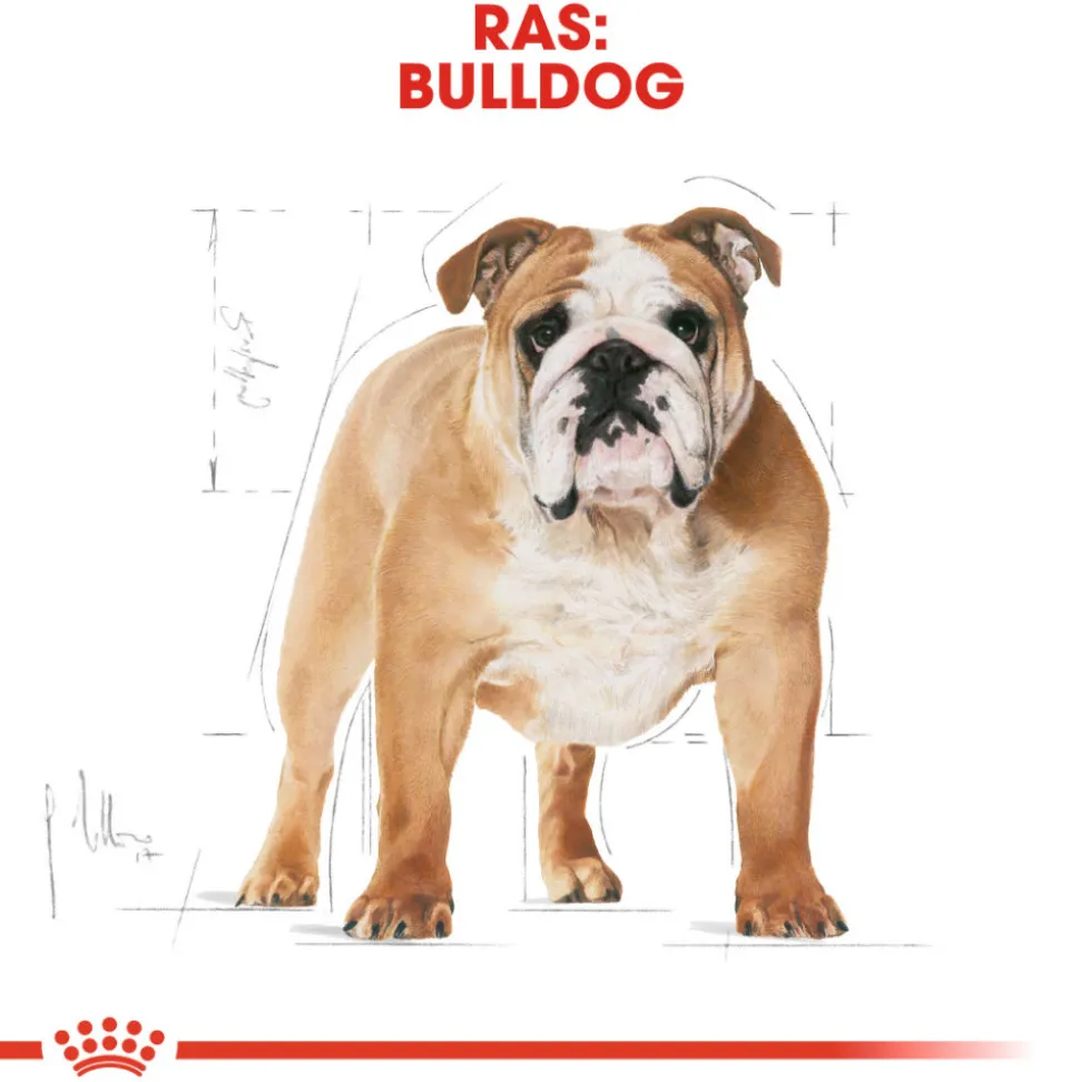 Royal Canin Bulldog Adult - Hondenvoer