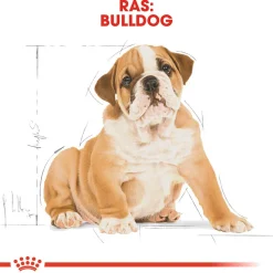 Royal Canin Bulldog Puppy - Hondenvoer