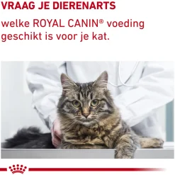Royal Canin Calm Diet Kat
