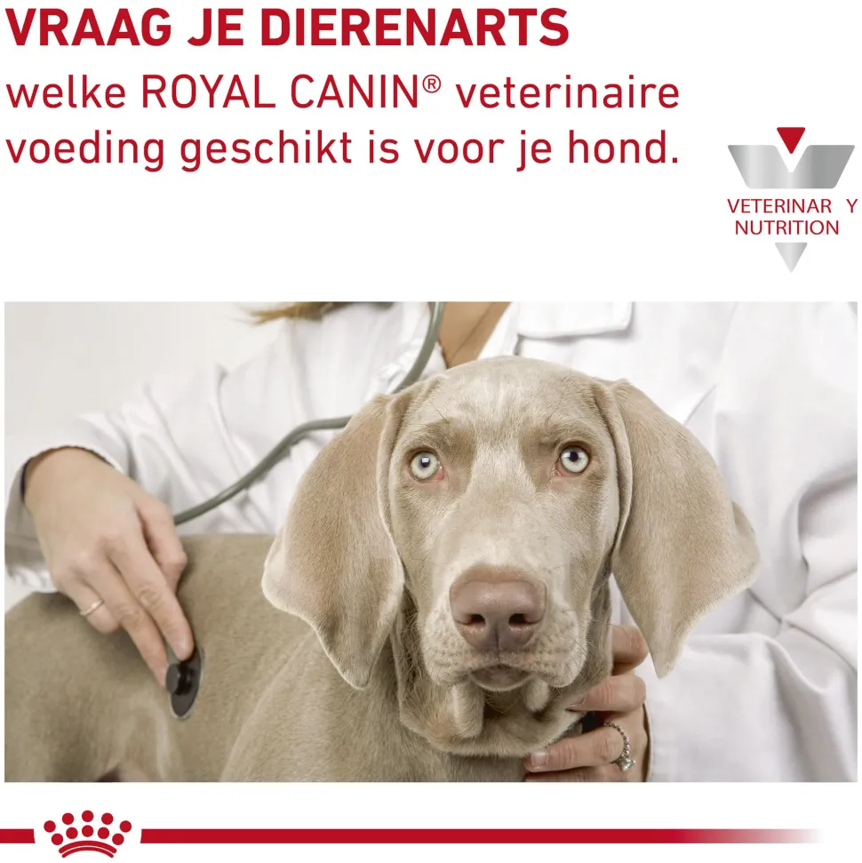 Royal Canin Cardiac Hond - Blik