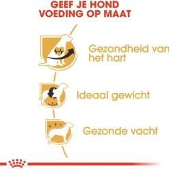 Royal Canin Cavalier King Charles Adult - Hondenvoer