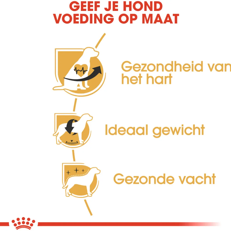 Royal Canin Cavalier King Charles Adult - Hondenvoer