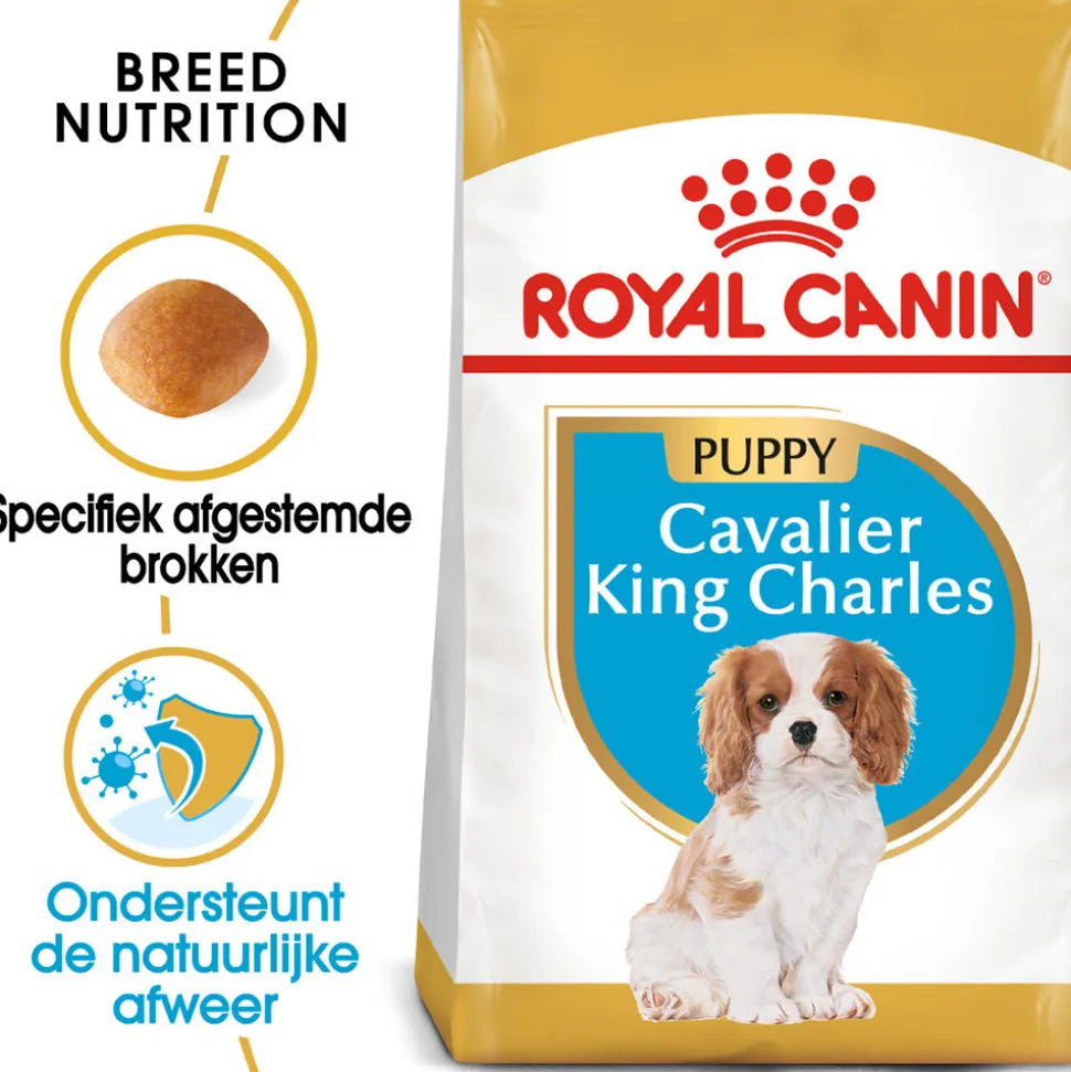 Royal Canin Cavalier King Charles Puppy - Hondenvoer