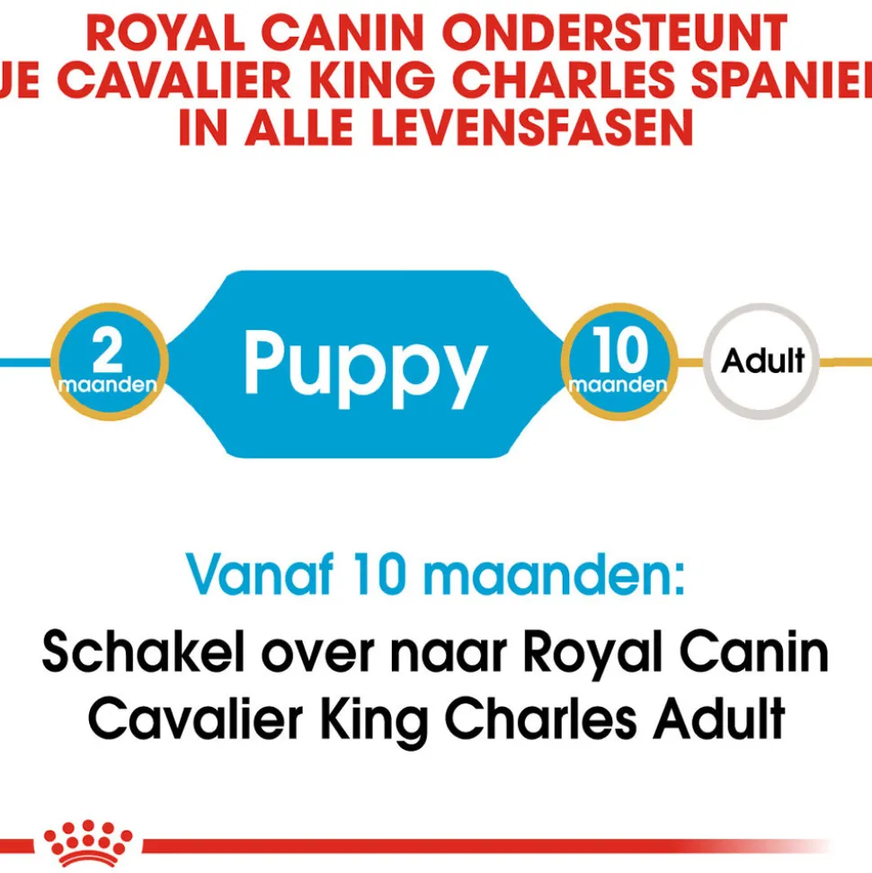 Royal Canin Cavalier King Charles Puppy - Hondenvoer