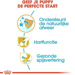 Royal Canin Cavalier King Charles Puppy - Hondenvoer