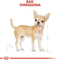 Royal Canin Chihuahua Adult - Hondenvoer