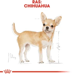 Royal Canin Chihuahua Adult Wet - Hondenvoer