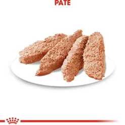 Royal Canin Coat Care Wet - Hondenvoer