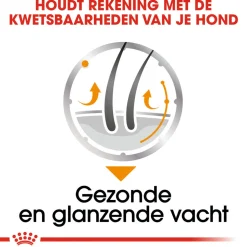 Royal Canin Coat Care Wet - Hondenvoer