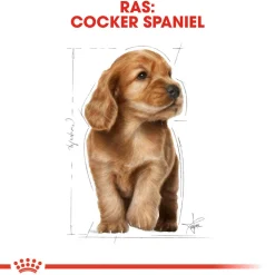 Royal Canin Cocker Puppy - Hondenvoer
