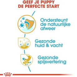 Royal Canin Cocker Puppy - Hondenvoer