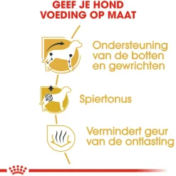 Royal Canin Dachshund Adult - Hondenvoer