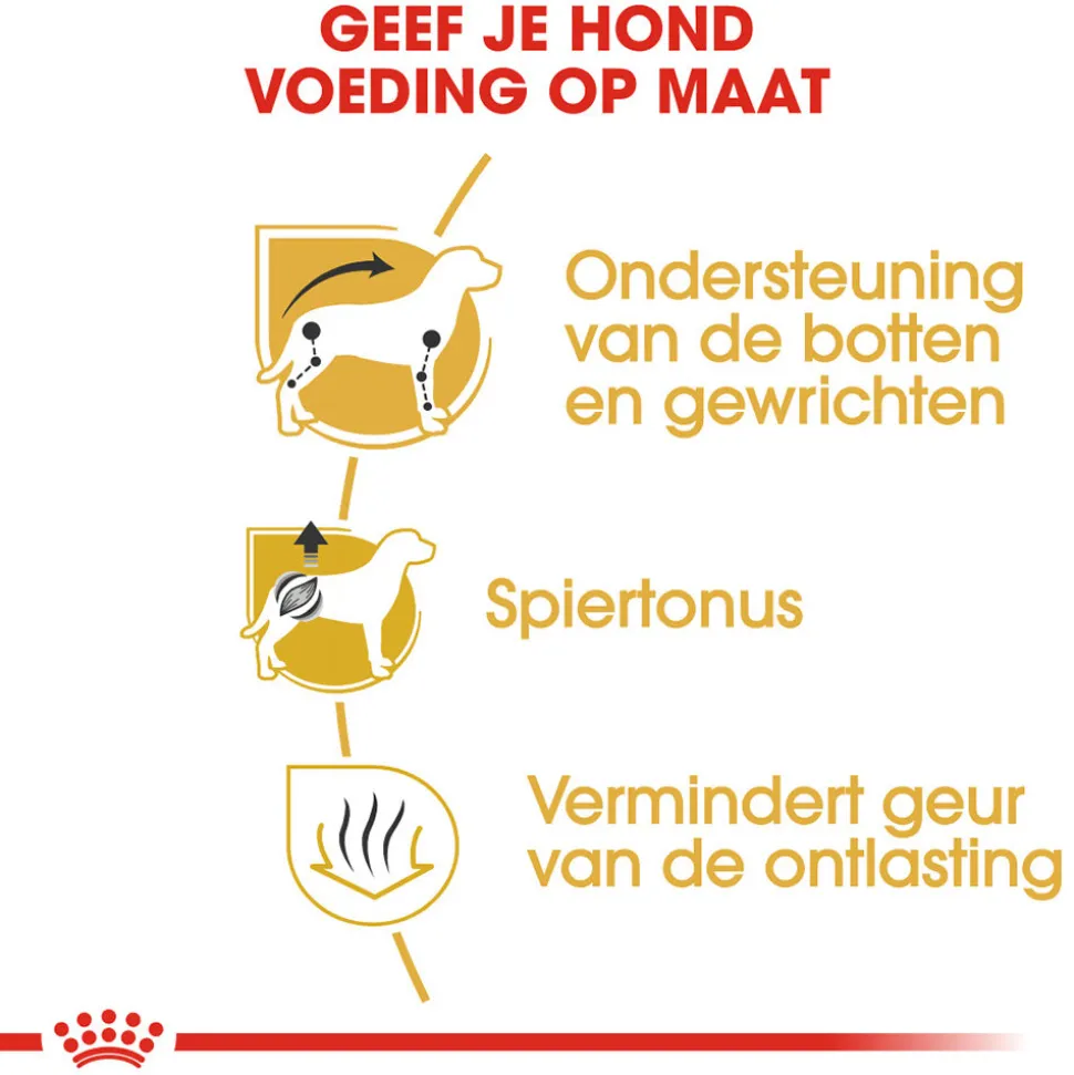 Royal Canin Dachshund Adult - Hondenvoer
