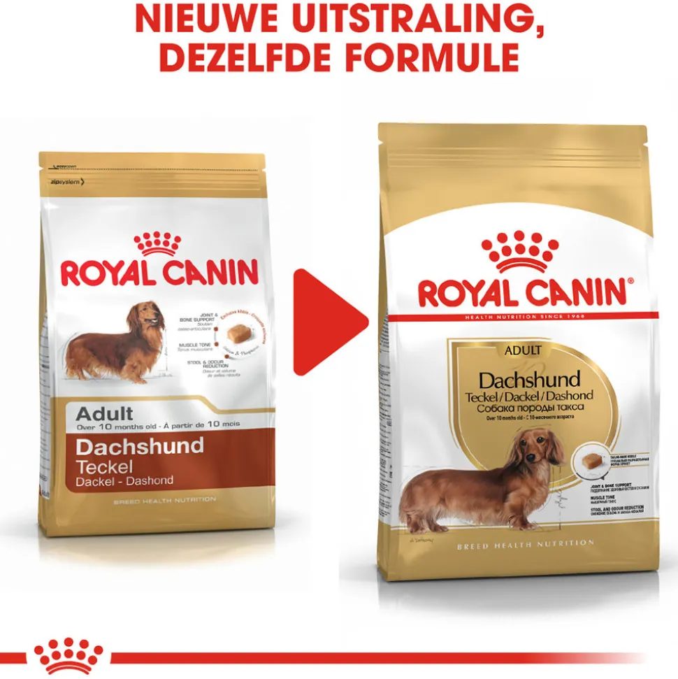 Royal Canin Dachshund Adult - Hondenvoer
