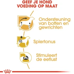Royal Canin Dachshund Adult Wet - Hondenvoer
